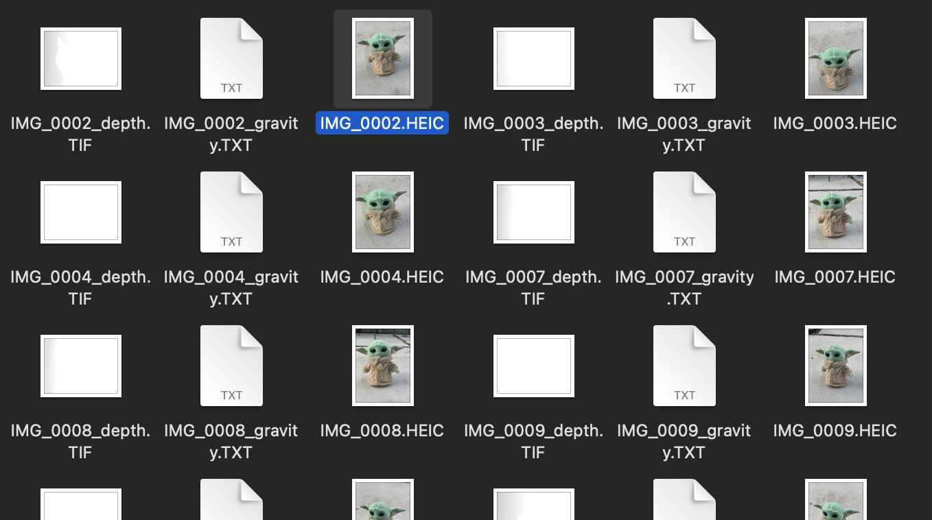 The files that were taken and extra data for each photo, like depth and gravity.