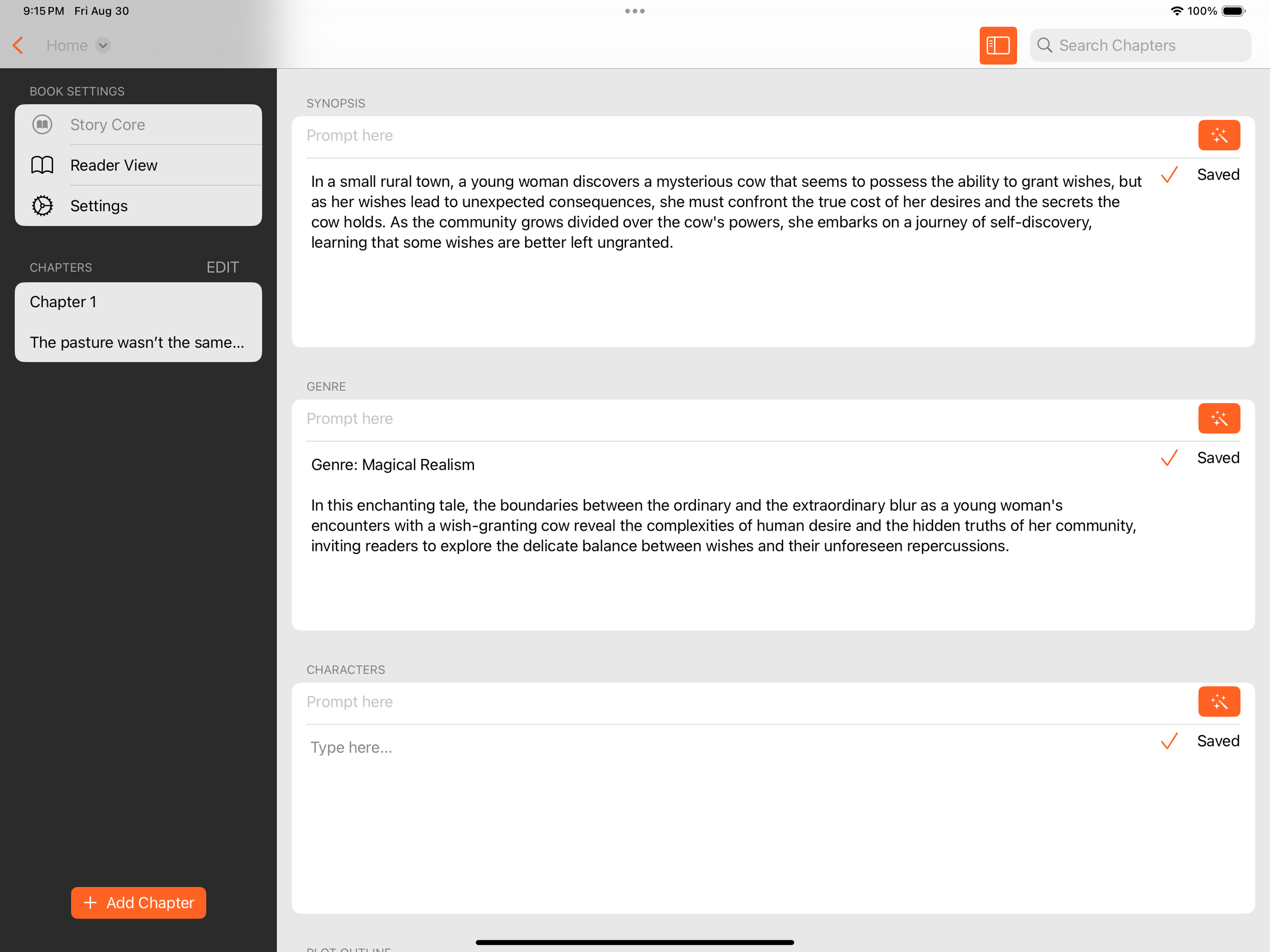 This is the Story Core section where the user can organize their thoughts when writing their novel.